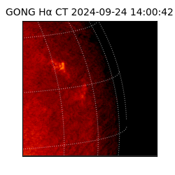 gong - 2024-09-24T14:00:42