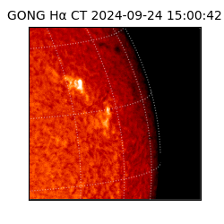 gong - 2024-09-24T15:00:42