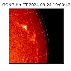 gong - 2024-09-24T19:00:42