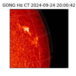 gong - 2024-09-24T20:00:42