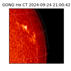 gong - 2024-09-24T21:00:42