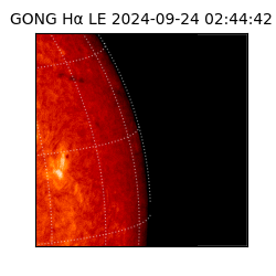 gong - 2024-09-24T02:44:42