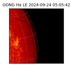 gong - 2024-09-24T05:05:42