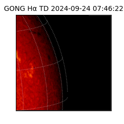 gong - 2024-09-24T07:46:22