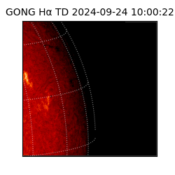 gong - 2024-09-24T10:00:22