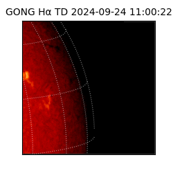 gong - 2024-09-24T11:00:22