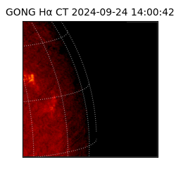 gong - 2024-09-24T14:00:42