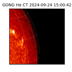 gong - 2024-09-24T15:00:42