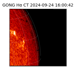 gong - 2024-09-24T16:00:42