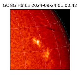 gong - 2024-09-24T01:00:42