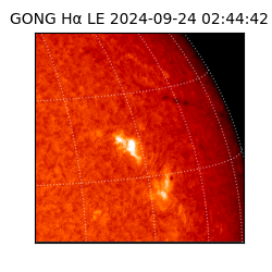 gong - 2024-09-24T02:44:42