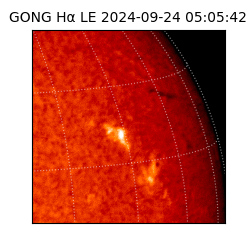 gong - 2024-09-24T05:05:42