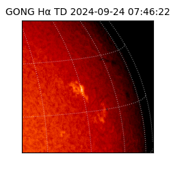 gong - 2024-09-24T07:46:22