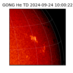 gong - 2024-09-24T10:00:22