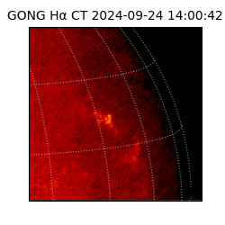 gong - 2024-09-24T14:00:42
