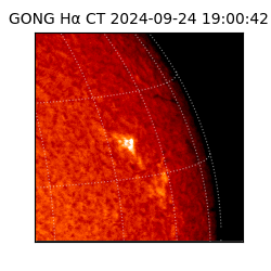 gong - 2024-09-24T19:00:42