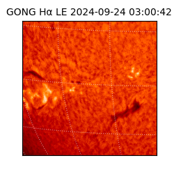 gong - 2024-09-24T03:00:42