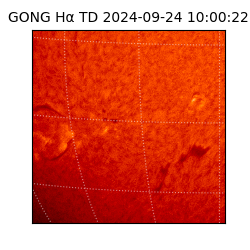 gong - 2024-09-24T10:00:22