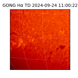 gong - 2024-09-24T11:00:22