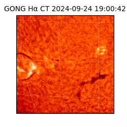 gong - 2024-09-24T19:00:42