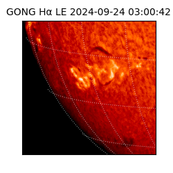 gong - 2024-09-24T03:00:42