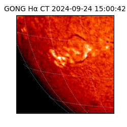 gong - 2024-09-24T15:00:42