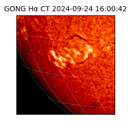 gong - 2024-09-24T16:00:42