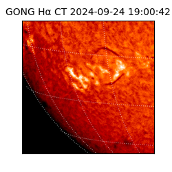 gong - 2024-09-24T19:00:42