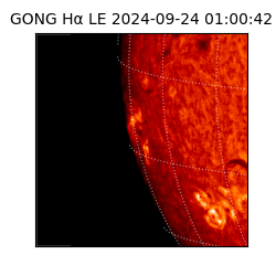 gong - 2024-09-24T01:00:42