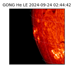 gong - 2024-09-24T02:44:42