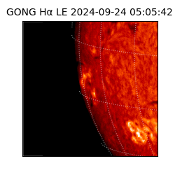 gong - 2024-09-24T05:05:42