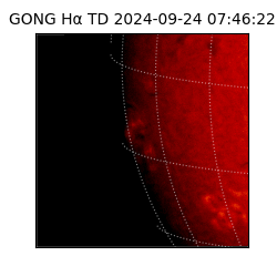 gong - 2024-09-24T07:46:22