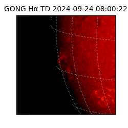 gong - 2024-09-24T08:00:22