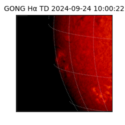 gong - 2024-09-24T10:00:22