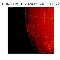 gong - 2024-09-24T11:00:22