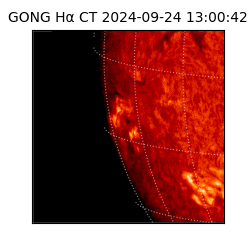 gong - 2024-09-24T13:00:42