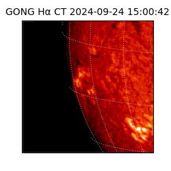 gong - 2024-09-24T15:00:42