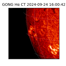 gong - 2024-09-24T16:00:42