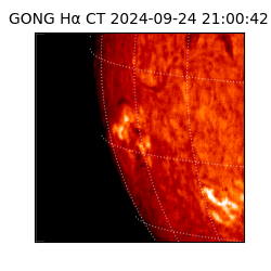 gong - 2024-09-24T21:00:42