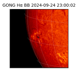 gong - 2024-09-24T23:00:02