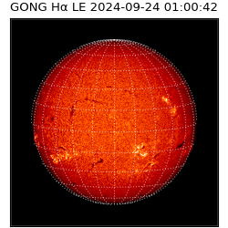 gong - 2024-09-24T01:00:42