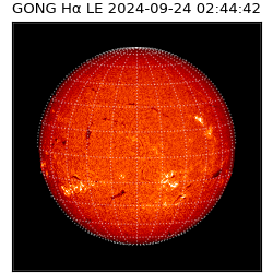 gong - 2024-09-24T02:44:42