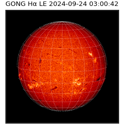 gong - 2024-09-24T03:00:42
