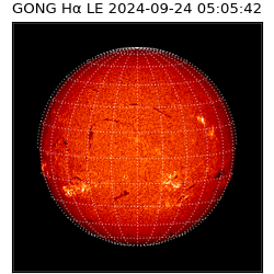 gong - 2024-09-24T05:05:42