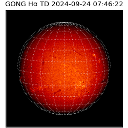 gong - 2024-09-24T07:46:22