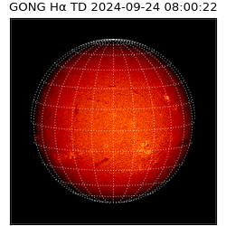 gong - 2024-09-24T08:00:22