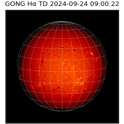 gong - 2024-09-24T09:00:22