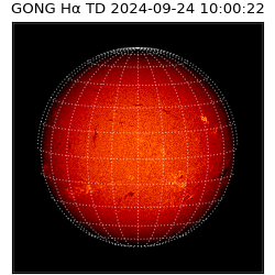 gong - 2024-09-24T10:00:22