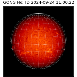 gong - 2024-09-24T11:00:22