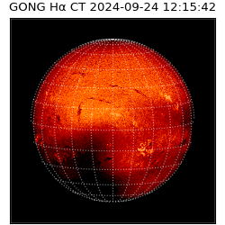gong - 2024-09-24T12:15:42